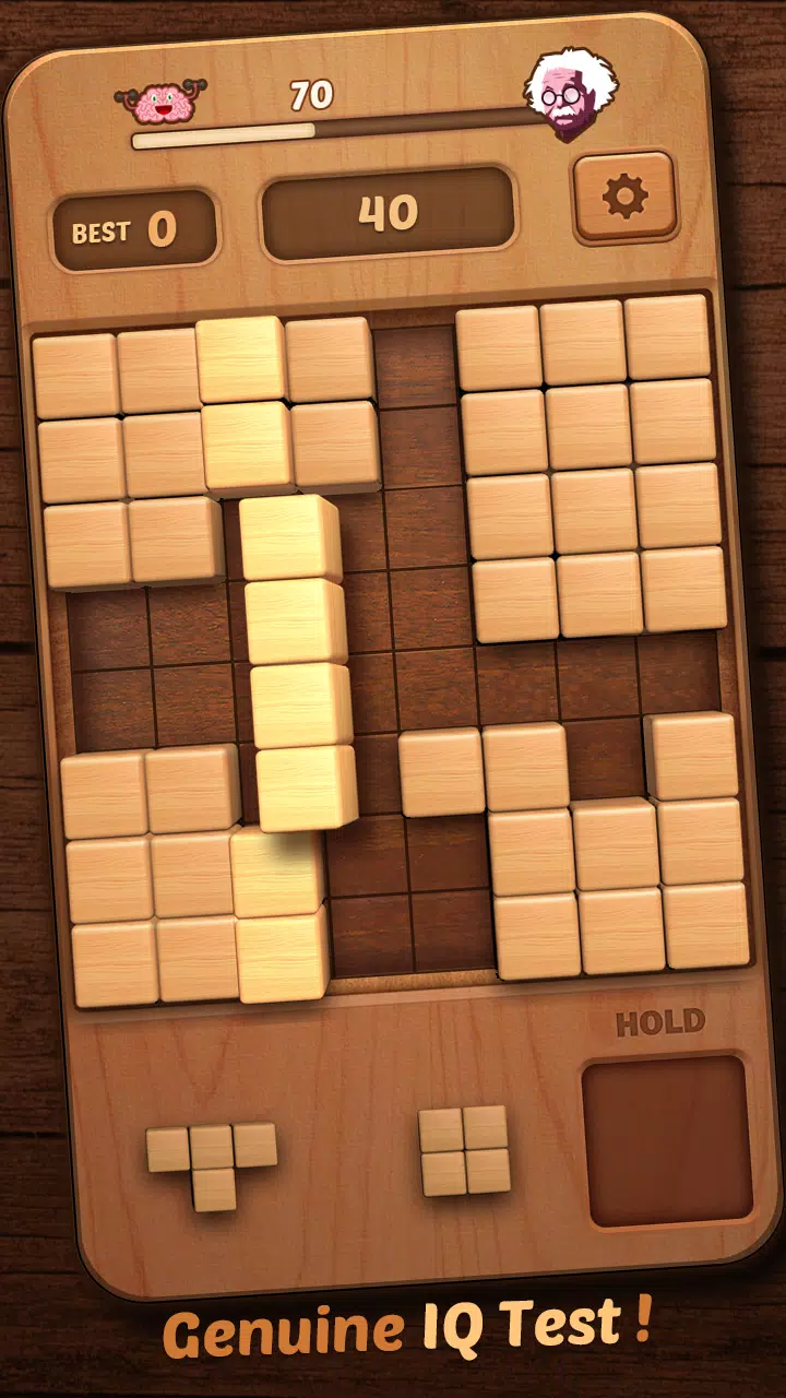 Wood Block Puzzle 3D Screenshot 3