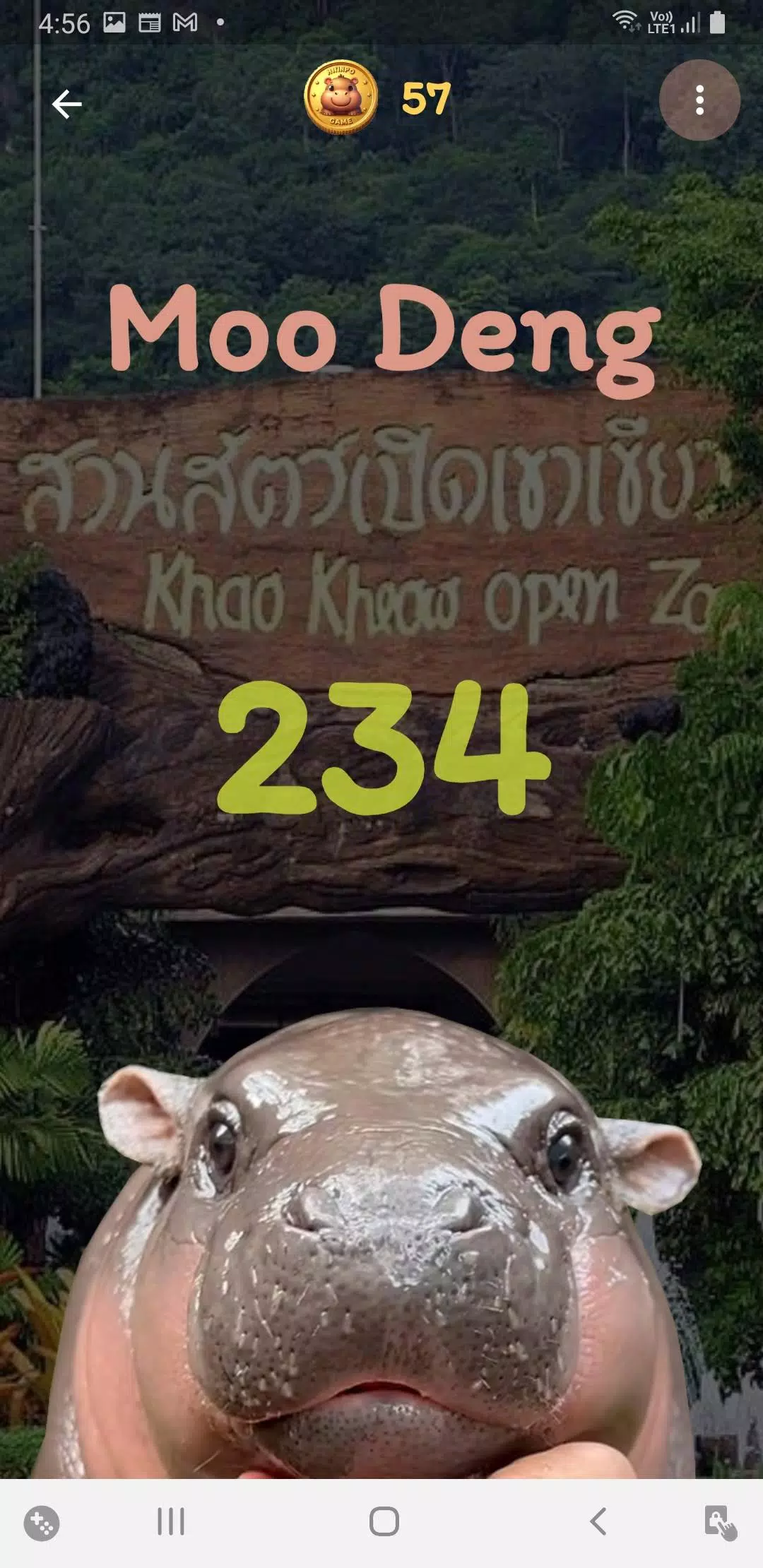 Moo Deng 螢幕截圖 2