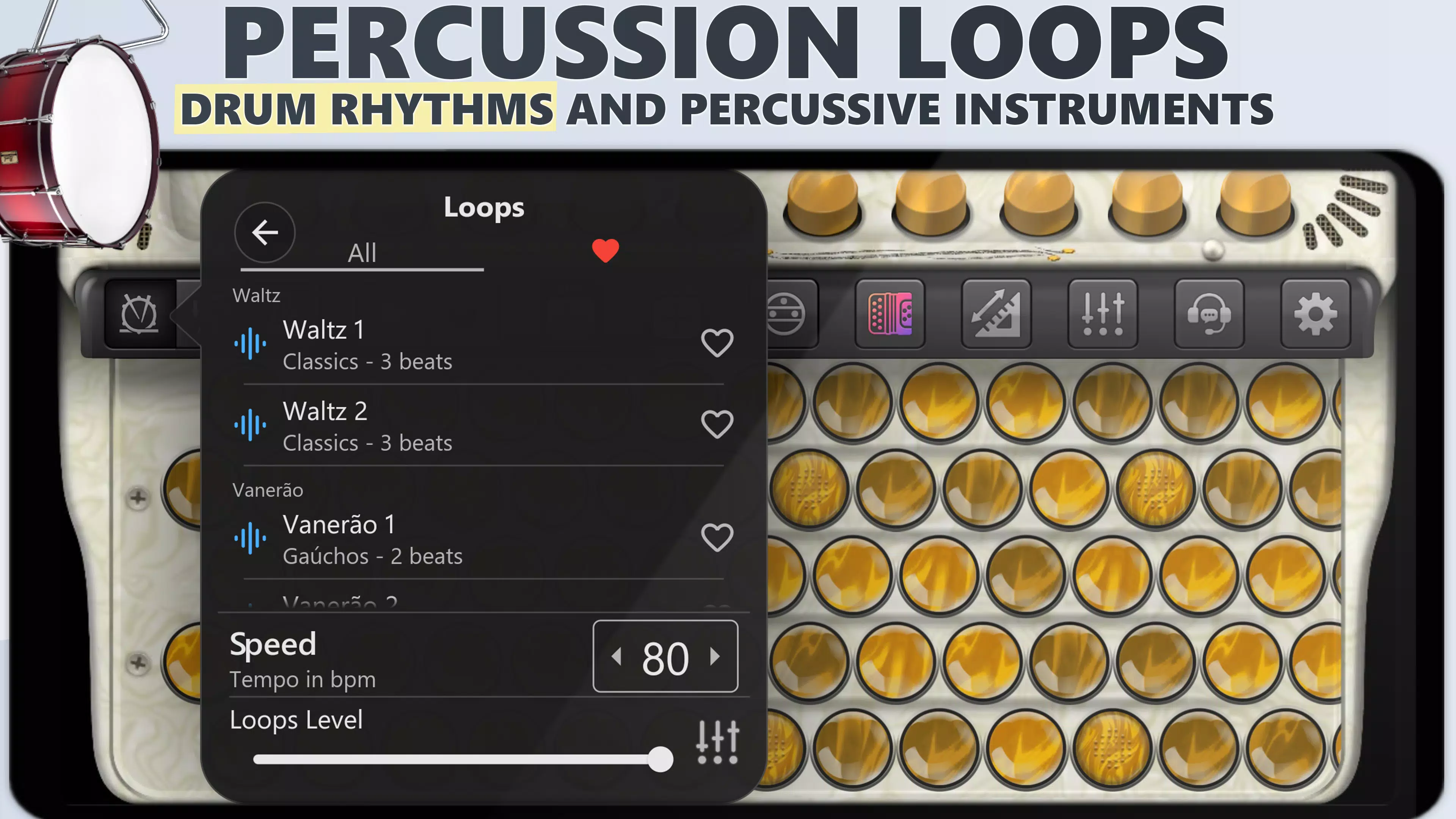 Schermata Accordion Chromatic Cassoto 2