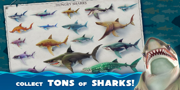 image: Hungry Shark World Sharks