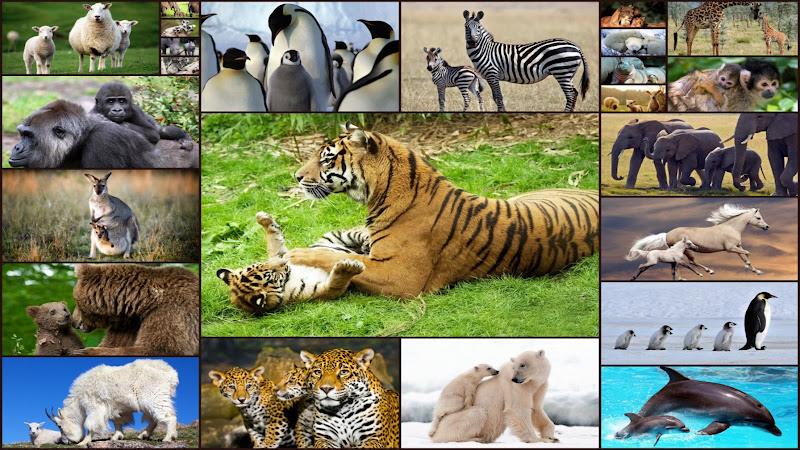 Baby Animal Jigsaw Puzzles 螢幕截圖 0