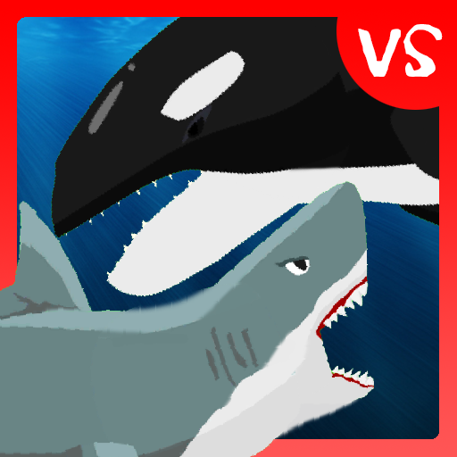 Shark Fights Killer Whale