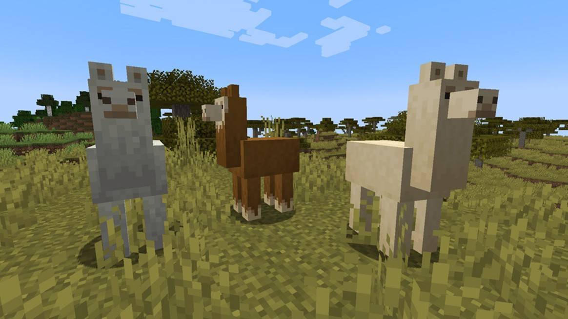 Finding Llamas