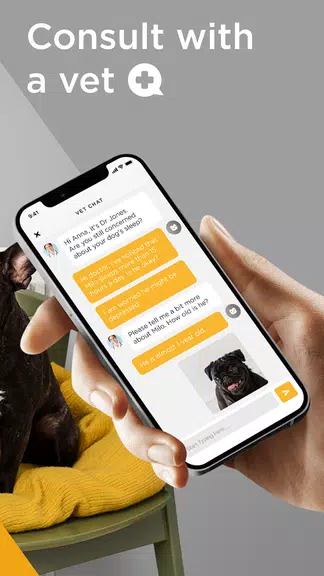 Petcube 螢幕截圖 3