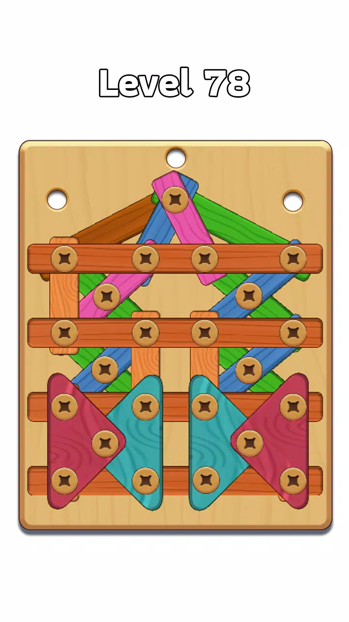 Schermata Wood Nuts & Bolt: Screw Puzzle 2