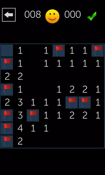 Minesweeper Fun Zrzut ekranu 0