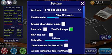 Spanish Blackjack 21 Capture d'écran 2