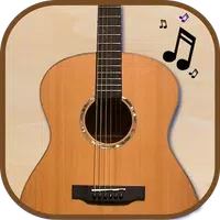 Acoustic Guitar Pro