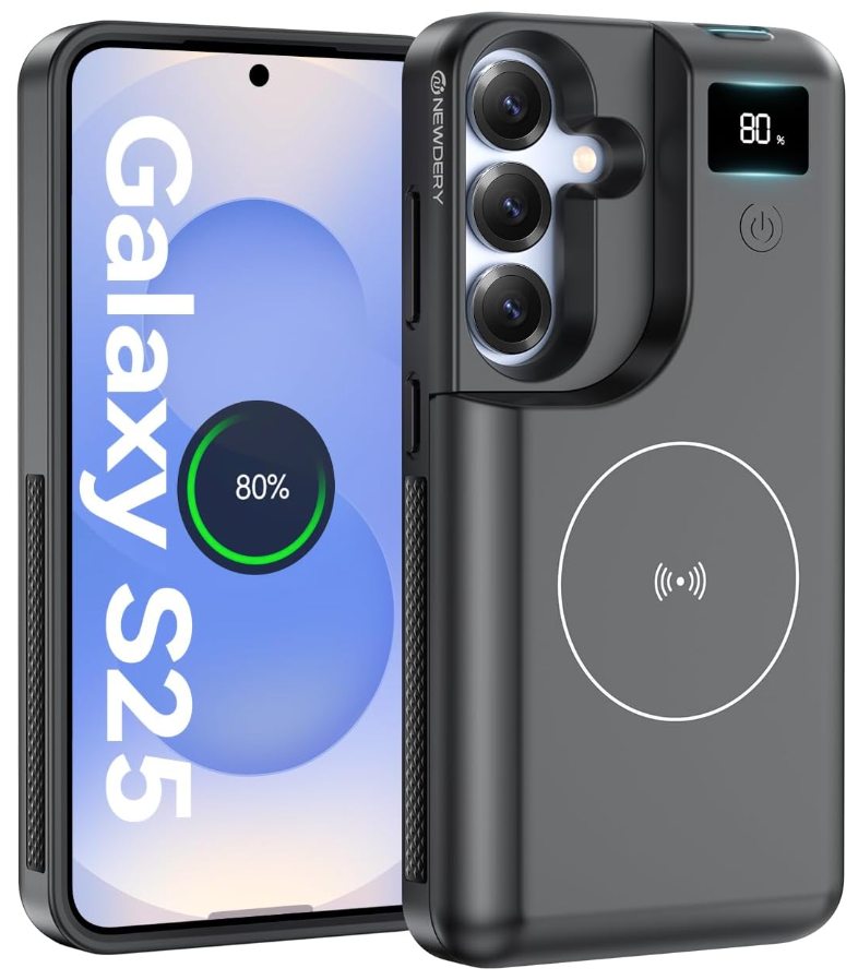 NEWDERY Battery Case