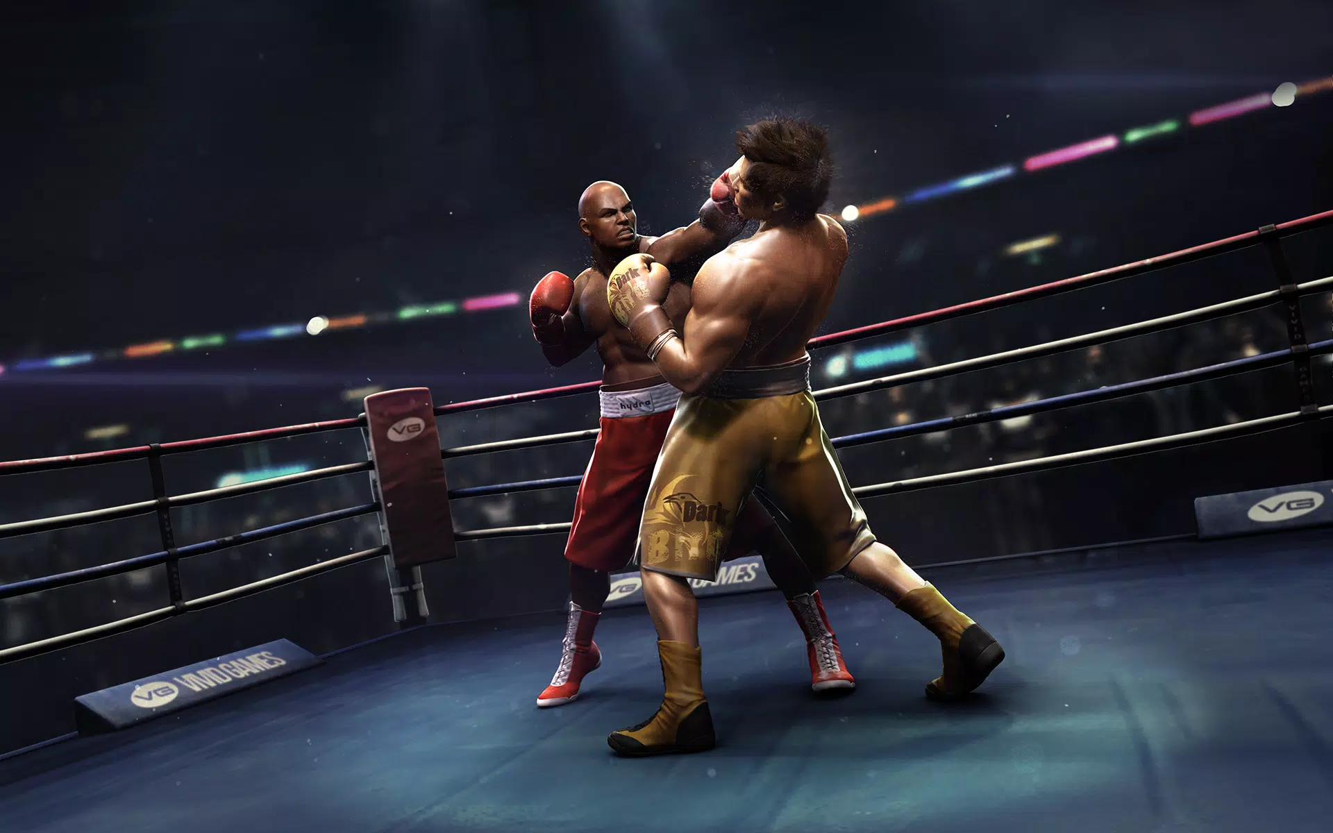 Real Boxing Captura de pantalla 0