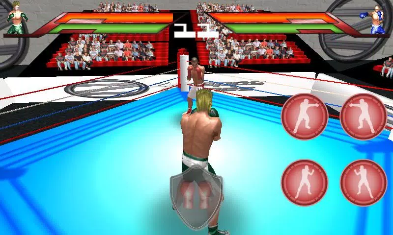 Virtual Boxing Capture d'écran 2