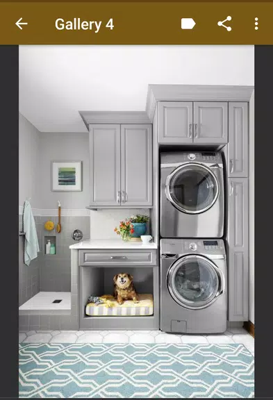 Laundry Room Organization Ảnh chụp màn hình 2