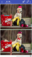 Find The Difference - Spot It 螢幕截圖 2