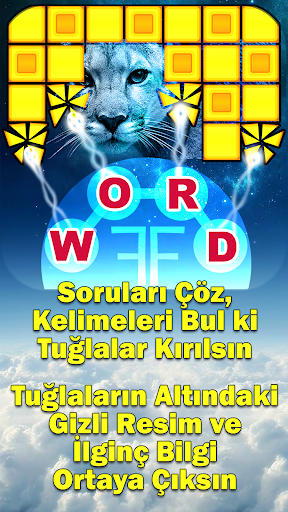 Word Fun Fact (WFF) Word Games Tangkapan skrin 2