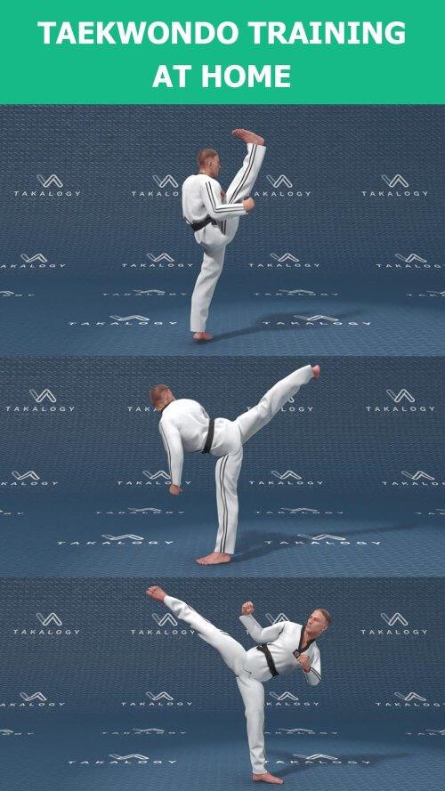 Mastering Taekwondo at Home Screenshot 1