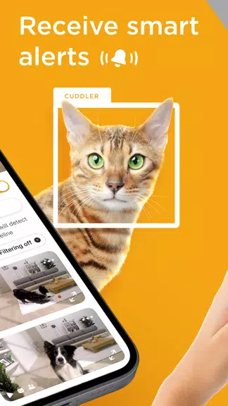 Petcube 螢幕截圖 1