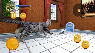 Stray Mouse Family Simulator 螢幕截圖 3