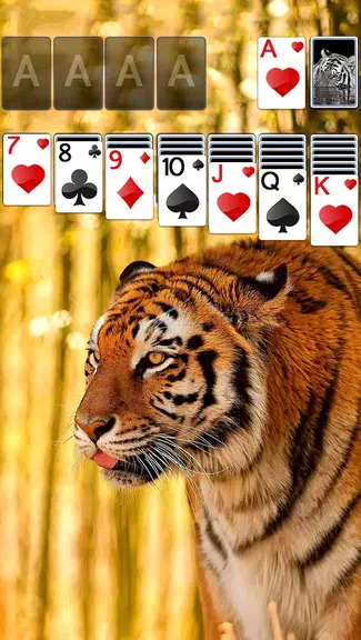 Solitaire Tiger Theme Скриншот 0