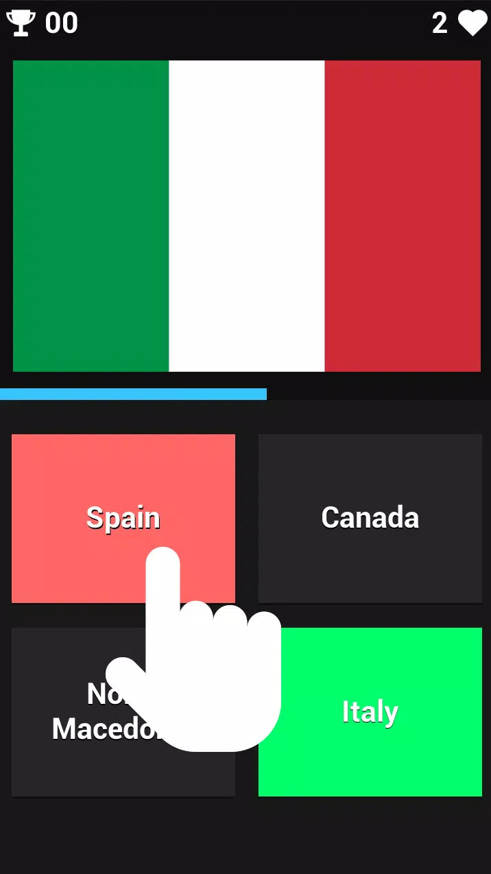 FLAG GUESSER Скриншот 1