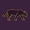 VPN Panther: Express & Secure