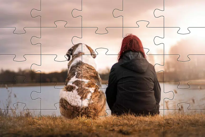 Jigsaw puzzle without internet应用截图第3张