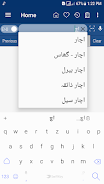 English Urdu Dictionary 스크린샷 3