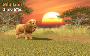 Wild Lion Simulator 3D 스크린샷 0