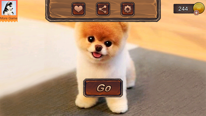 Pomeranian Dog Simulator Tangkapan skrin 0