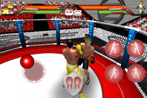 Virtual Boxing Capture d'écran 0