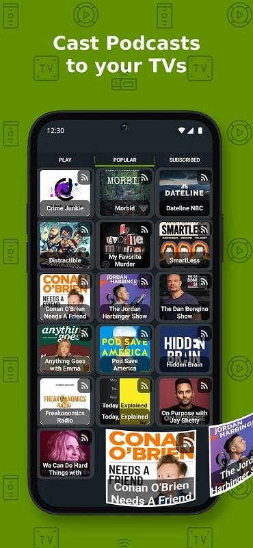 Cast to TV+ Chromecast Roku TV Ekran Görüntüsü 0