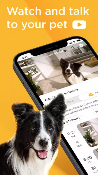 Petcube 螢幕截圖 0