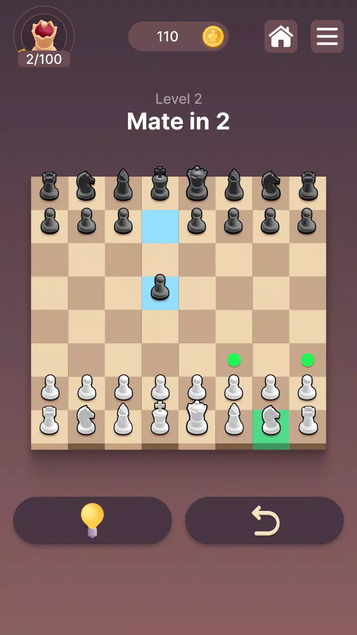 Chesscapes: Daily Chess Puzzle应用截图第3张