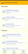 Consultas Ecuador ภาพหน้าจอ 1