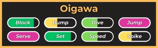 Стиль Oigawa из опыта Volleyball Legends Roblox