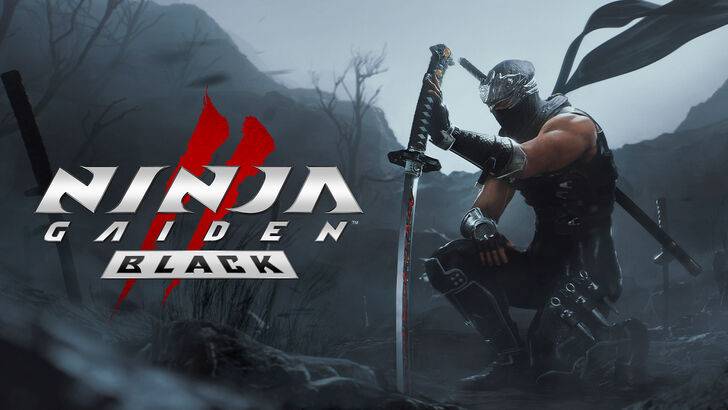 Ninja Gaiden 2 Black Cover