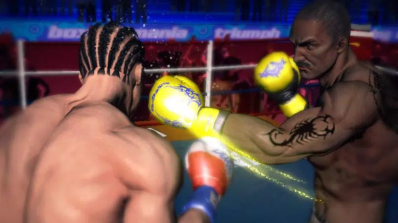 Punch Boxing 3D Captura de pantalla 1