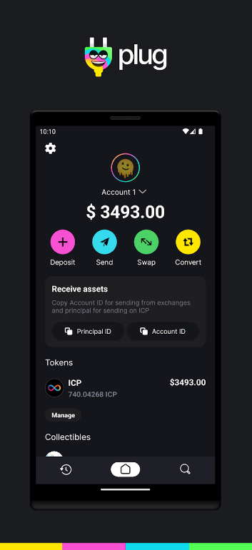 Plug Crypto Wallet Screenshot 2