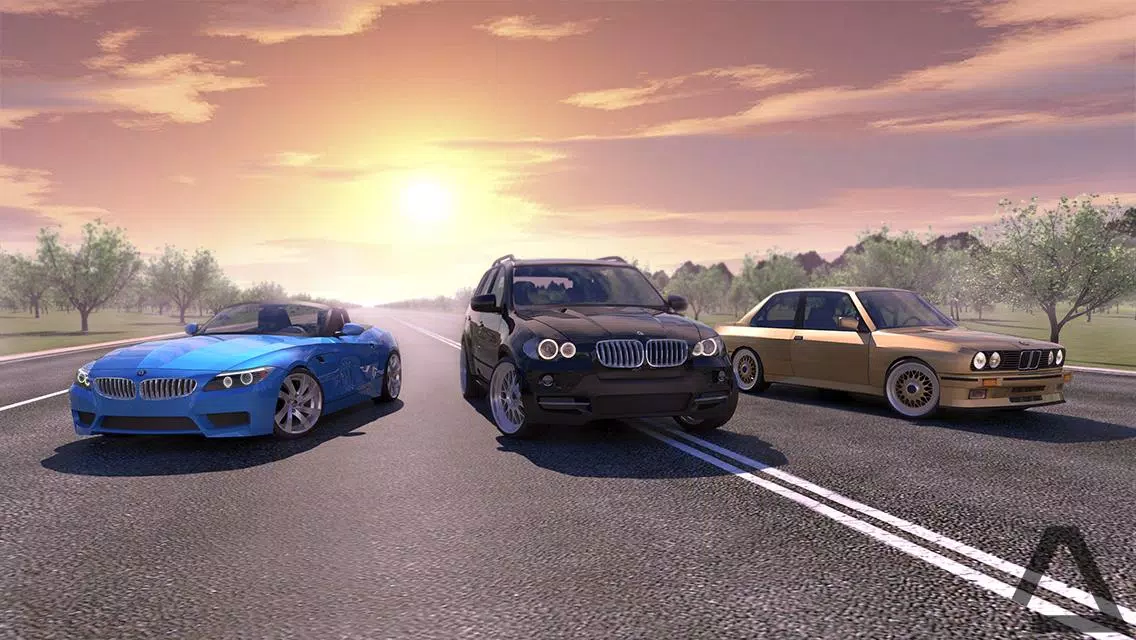Driving Zone 스크린샷 0