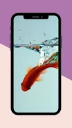 Koi Fish Live Wallpaper স্ক্রিনশট 1