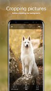 Dog Wallpapers & Puppy 4K Schermafbeelding 3