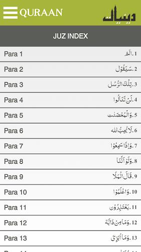 Schermata Quraan-E-Karim  (15 Lines) 3