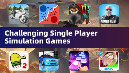 Challenging Single Player Simulation Games