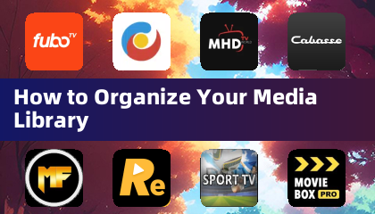 How to Organize Your Media Library